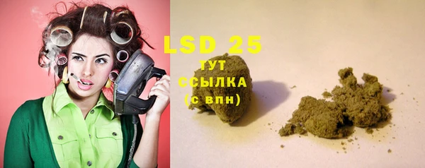 прущие грибы Абдулино