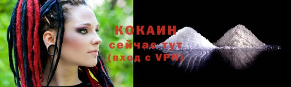 сатива Осинники