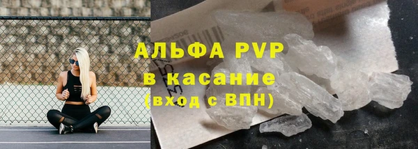 сатива Осинники