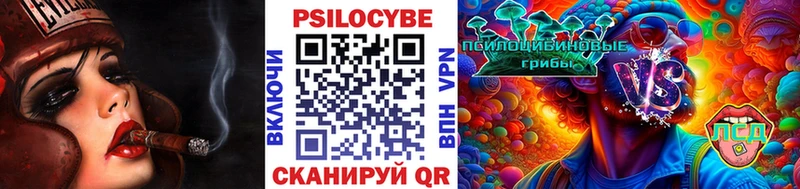Галлюциногенные грибы Psilocybine cubensis как найти Тбилисская